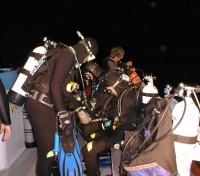 Night Dive